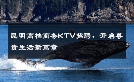 昆明高档商务KTV招聘，开启尊贵生活新篇章