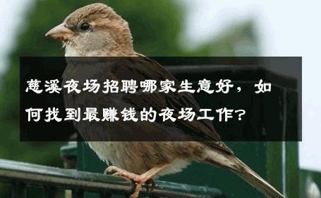 慈溪夜场招聘哪家生意好，如何找到最赚钱的夜场工作？