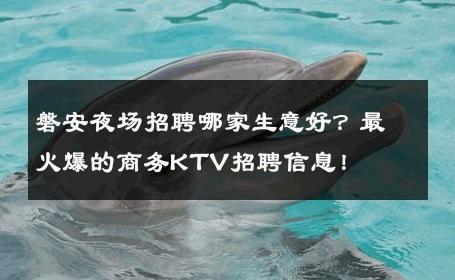 磐安夜场招聘哪家生意好？最火爆的商务KTV招聘信息！