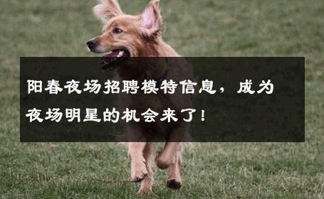 阳春夜场招聘模特信息，成为夜场明星的机会来了！