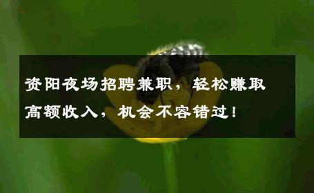 资阳夜场招聘兼职，轻松赚取高额收入，机会不容错过！