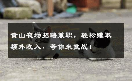 黄山夜场招聘兼职，轻松赚取额外收入，等你来挑战！