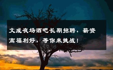文成夜场酒吧长期招聘，薪资高福利好，等你来挑战！