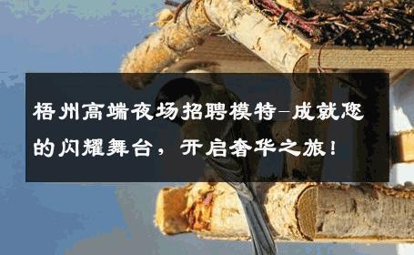 梧州高端夜场招聘模特-成就您的闪耀舞台，开启奢华之旅！