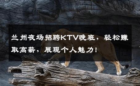 兰州夜场招聘KTV晚班，轻松赚取高薪，展现个人魅力！