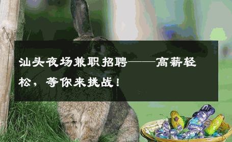 汕头夜场兼职招聘——高薪轻松，等你来挑战！