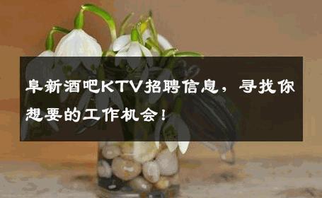 阜新酒吧KTV招聘信息，寻找你想要的工作机会！