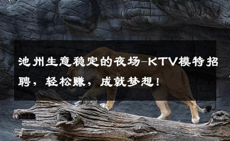 池州生意稳定的夜场-KTV模特招聘，轻松赚，成就梦想！