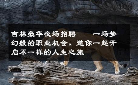 吉林豪华夜场招聘——一场梦幻般的职业机会，邀你一起开启不一样的人生之旅