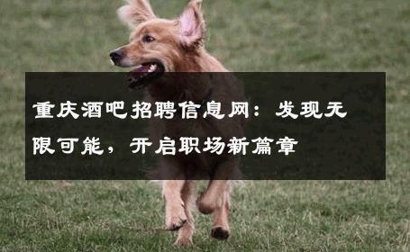 重庆酒吧招聘信息网：发现无限可能，开启职场新篇章