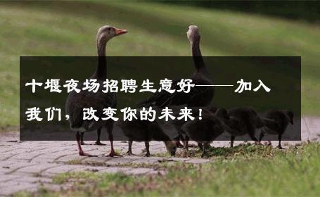 十堰夜场招聘生意好——加入我们，改变你的未来！