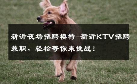 新沂夜场招聘模特-新沂KTV招聘兼职，轻松等你来挑战！