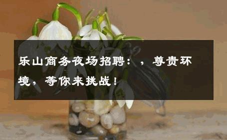 乐山商务夜场招聘：，尊贵环境，等你来挑战！