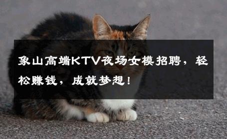 象山高端KTV夜场女模招聘，轻松赚钱，成就梦想！