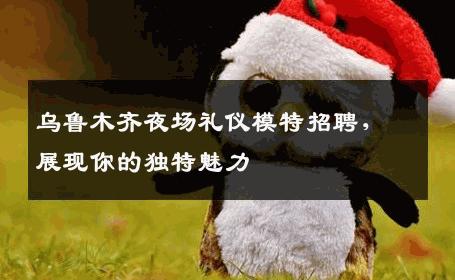 乌鲁木齐夜场礼仪模特招聘，展现你的独特魅力