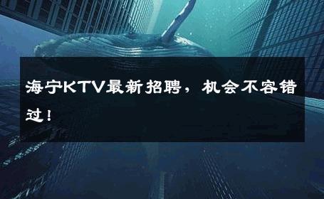 海宁KTV最新招聘，机会不容错过！