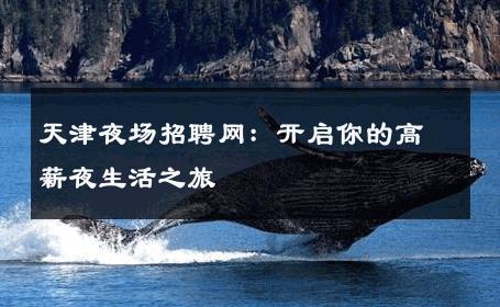 天津夜场招聘网：开启你的高薪夜生活之旅