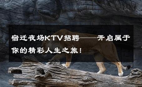 宿迁夜场KTV招聘——开启属于你的精彩人生之旅！