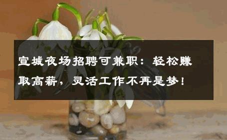 宣城夜场招聘可兼职：轻松赚取高薪，灵活工作不再是梦！