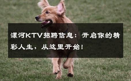 漯河KTV招聘信息：开启你的精彩人生，从这里开始！