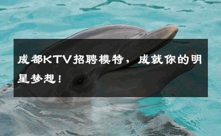 成都KTV招聘模特，成就你的明星梦想！