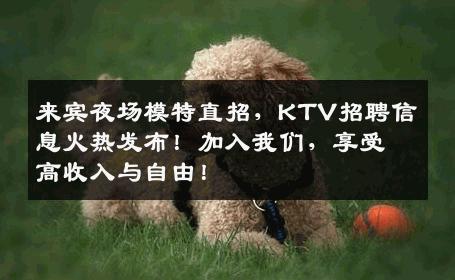 来宾夜场模特直招，KTV招聘信息火热发布！加入我们，享受高收入与自由！