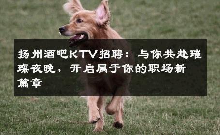 扬州酒吧KTV招聘：与你共赴璀璨夜晚，开启属于你的职场新篇章