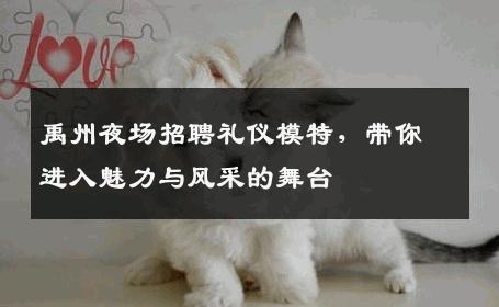 禹州夜场招聘礼仪模特，带你进入魅力与风采的舞台