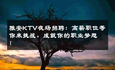 雅安KTV夜场招聘：高薪职位等你来挑战，成就你的职业梦想！