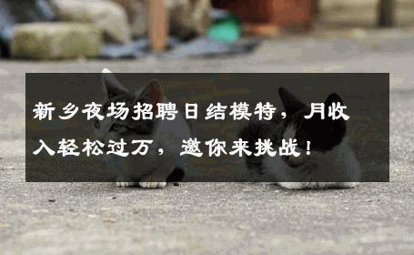 新乡夜场招聘日结模特，月收入轻松过万，邀你来挑战！