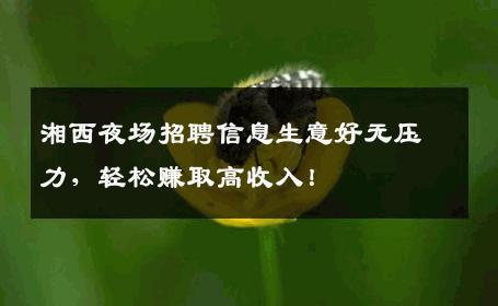 湘西夜场招聘信息生意好无压力，轻松赚取高收入！