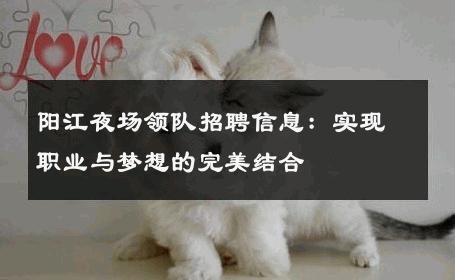 阳江夜场领队招聘信息：实现职业与梦想的完美结合