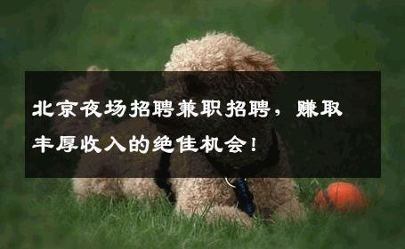 北京夜场招聘兼职招聘，赚取丰厚收入的绝佳机会！
