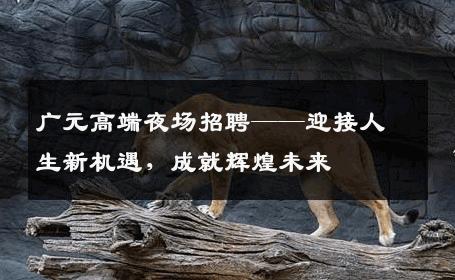 广元高端夜场招聘——迎接人生新机遇，成就辉煌未来