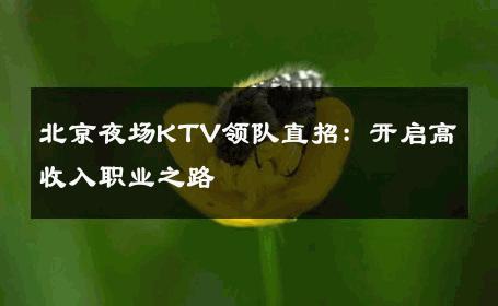 北京夜场KTV领队直招：开启高收入职业之路