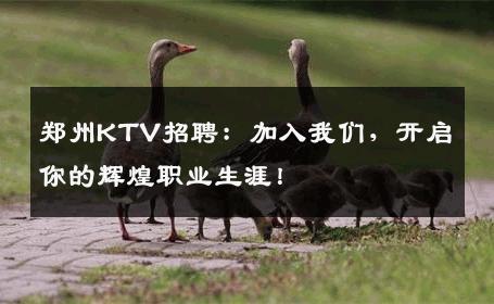 郑州KTV招聘：加入我们，开启你的辉煌职业生涯！