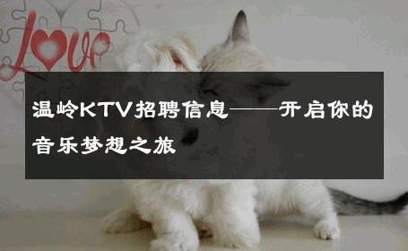 温岭KTV招聘信息——开启你的音乐梦想之旅