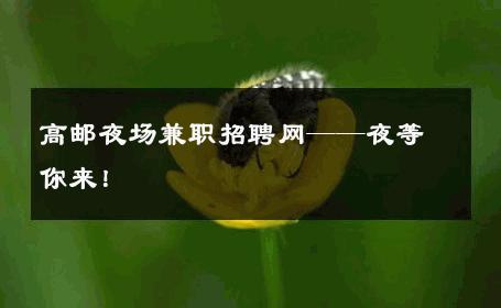 高邮夜场兼职招聘网——夜等你来！
