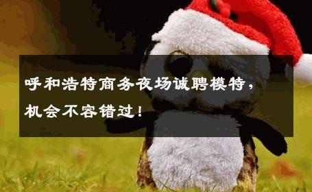 呼和浩特商务夜场诚聘模特，机会不容错过！