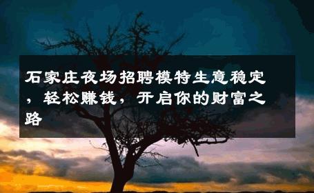 石家庄夜场招聘模特生意稳定，轻松赚钱，开启你的财富之路