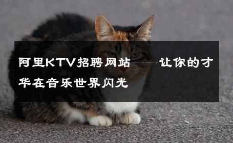 阿里KTV招聘网站——让你的才华在音乐世界闪光