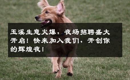 玉溪生意火爆，夜场招聘盛大开启！快来加入我们，开创你的辉煌夜！