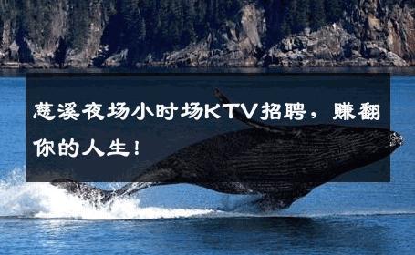 慈溪夜场小时场KTV招聘，赚翻你的人生！
