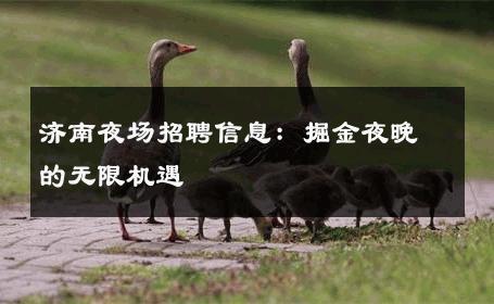 济南夜场招聘信息：掘金夜晚的无限机遇