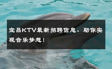 宜昌KTV最新招聘信息，助你实现音乐梦想！