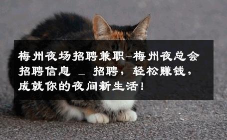 梅州夜场招聘兼职-梅州夜总会招聘信息 _ 招聘，轻松赚钱，成就你的夜间新生活！