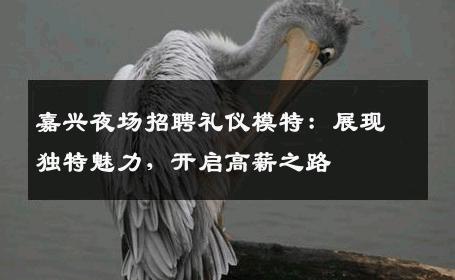 嘉兴夜场招聘礼仪模特：展现独特魅力，开启高薪之路