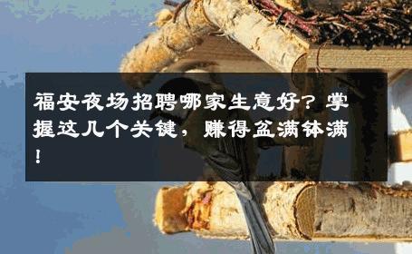 福安夜场招聘哪家生意好？掌握这几个关键，赚得盆满钵满！