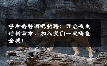 呼和浩特酒吧招聘：开启夜生活新篇章，加入我们一起嗨翻全城！