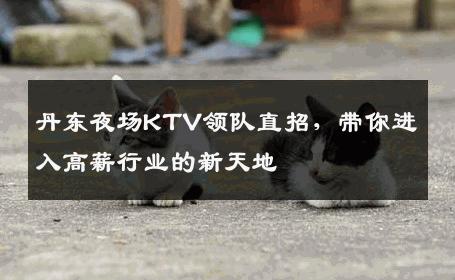 丹东夜场KTV领队直招，带你进入高薪行业的新天地